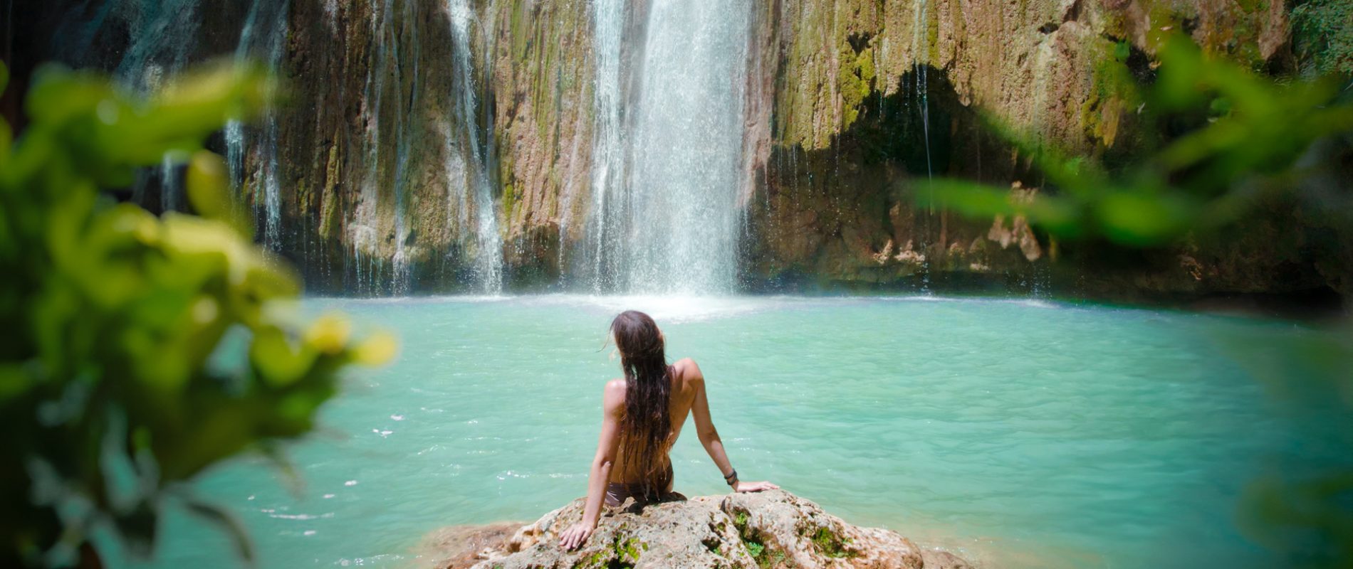 el limon waterfall trees